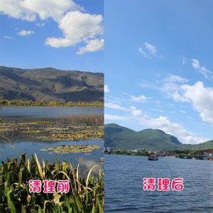 洱?？蛻艉此萸謇硇Ч故?></div>
														<div   id=